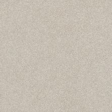Shaw Floors SFA Fyc Ns II Net Shoreline Haze (s) 128S_5E019