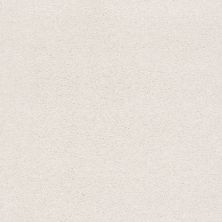 Shaw Floors SFA Fyc Ns II Net Cake Frosting (s) 155S_5E019
