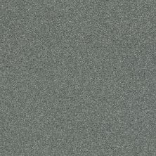 Shaw Floors SFA Fyc Ns II Net Cottage Garden (s) 308S_5E019