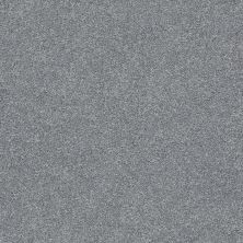 Shaw Floors SFA Fyc Ns II Net Dolphin Sighting (s) 510S_5E019