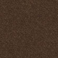 Shaw Floors SFA Fyc Ns II Net Chocolate Treat (s) 707S_5E019