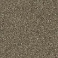 Shaw Floors SFA Fyc Ns II Net Summer House (s) 708S_5E019