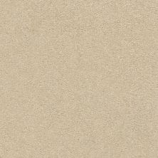Shaw Floors SFA Fyc Ns Blue Net Sun Kissed (s) 110S_5E020
