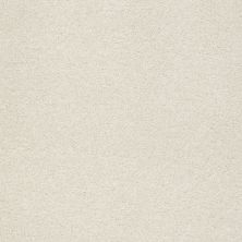 Shaw Floors SFA Fyc Ns Blue Net Champagne Toast (s) 153S_5E020
