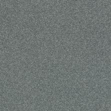 Shaw Floors SFA Fyc Ns Blue Net Cottage Garden (s) 308S_5E020