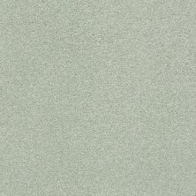 Shaw Floors SFA Fyc Ns Blue Net Willow Tree (s) 330S_5E020