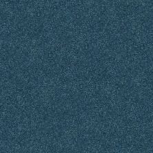 Shaw Floors SFA Fyc Ns Blue Net Twilight Golf (s) 434S_5E020
