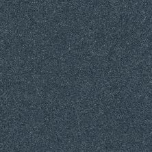 Shaw Floors SFA Fyc Ns Blue Net Washed Indigo (s) 440S_5E020
