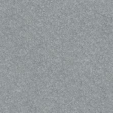 Shaw Floors SFA Fyc Ns Blue Net Cool Breeze (s) 525S_5E020