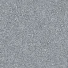 Shaw Floors SFA Fyc Ns Blue Net Misty Rain (s) 529S_5E020