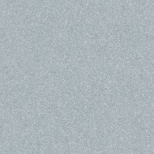 Shaw Floors SFA Fyc Ns Blue Net Polished Silver (s) 538S_5E020