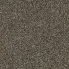 Shaw Floors SFA Fyc Ns Blue Net Summer House (s) 708S_5E020