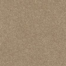 Shaw Floors SFA Fyc Ns Blue Net Falling Leaves (s) 720S_5E020