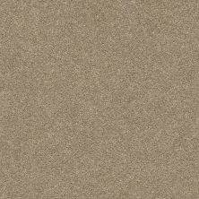 Shaw Floors SFA Fyc Ns Blue Net Honey Tea (s) 750S_5E020