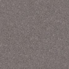 Shaw Floors SFA Fyc Ns Blue Net Lilac Field (s) 901S_5E020