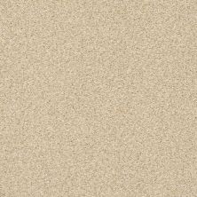 Shaw Floors SFA Fyc Tt I Net Sun Kissed (t) 110T_5E021