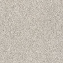 Shaw Floors SFA Fyc Tt I Net Chill In The Air (t) 126T_5E021