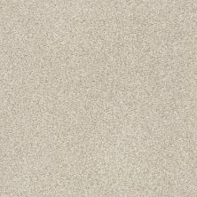Shaw Floors SFA Fyc Tt I Net Sand Castle (t) 127T_5E021