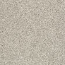 Shaw Floors SFA Fyc Tt I Net Shoreline Haze (t) 128T_5E021