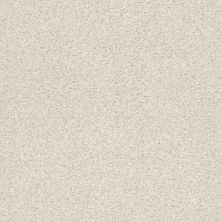 Shaw Floors SFA Fyc Tt I Net Champagne Toast (t) 153T_5E021