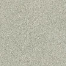 Shaw Floors SFA Fyc Tt I Net Willow Tree (t) 330T_5E021