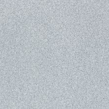 Shaw Floors SFA Fyc Tt I Net Winter Sky (t) 437T_5E021