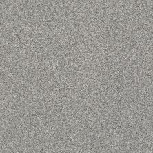 Shaw Floors SFA Fyc Tt I Net Cool Breeze (t) 525T_5E021