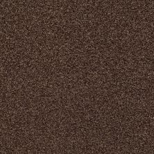 Shaw Floors SFA Fyc Tt I Net Chocolate Treat (t) 707T_5E021