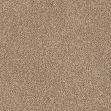 Shaw Floors SFA Fyc Tt I Net Falling Leaves (t) 720T_5E021