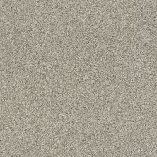 Shaw Floors SFA Fyc Tt I Net Back Patio (t) 724T_5E021