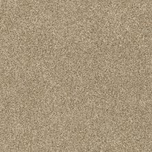 Shaw Floors SFA Fyc Tt I Net Honey Tea (t) 750T_5E021