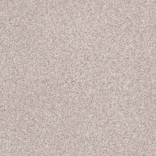 Shaw Floors SFA Fyc Tt I Net Evening In Paris (t) 900T_5E021