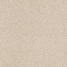 Shaw Floors SFA Fyc Tt II Net Happy Place (t) 123T_5E022