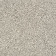 Shaw Floors SFA Fyc Tt II Net Shoreline Haze (t) 128T_5E022