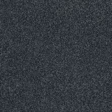 Shaw Floors SFA Fyc Tt II Net Hanging Vine (t) 309T_5E022