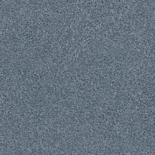 Shaw Floors SFA Fyc Tt II Net Lakeside Retreat (t) 413T_5E022