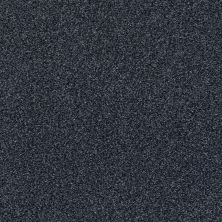 Shaw Floors SFA Fyc Tt II Net Star Gazing (t) 433T_5E022