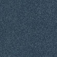 Shaw Floors SFA Fyc Tt II Net Twilight Golf (t) 434T_5E022