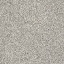 Shaw Floors SFA Fyc Tt II Net Restful Day (t) 512T_5E022