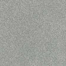 Shaw Floors SFA Fyc Tt II Net Misty Rain (t) 529T_5E022