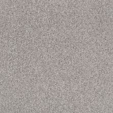 Shaw Floors SFA Fyc Tt II Net Whisper (t) 536T_5E022