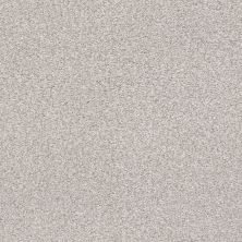 Shaw Floors SFA Fyc Tt II Net Dreamy (t) 537T_5E022