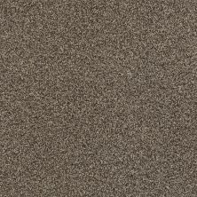 Shaw Floors SFA Fyc Tt II Net Summer House (t) 708T_5E022
