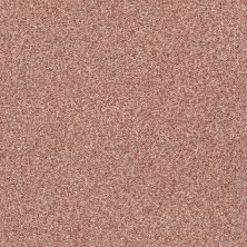 Shaw Floors SFA Fyc Tt II Net Open The Rose’ (t) 802T_5E022