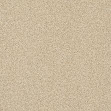 Shaw Floors SFA Fyc Tt Blue Net Sun Kissed (t) 110T_5E023