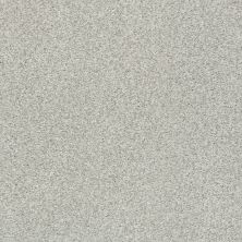 Shaw Floors SFA Fyc Tt Blue Net Chill In The Air (t) 126T_5E023