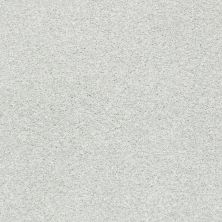 Shaw Floors SFA Fyc Tt Blue Net Whitewashed Frame (t) 154T_5E023