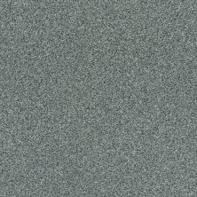 Shaw Floors SFA Fyc Tt Blue Net Cottage Garden (t) 308T_5E023