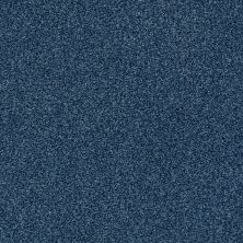 Shaw Floors SFA Fyc Tt Blue Net River Boat Ride (t) 432T_5E023