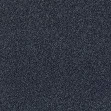 Shaw Floors SFA Fyc Tt Blue Net Star Gazing (t) 433T_5E023